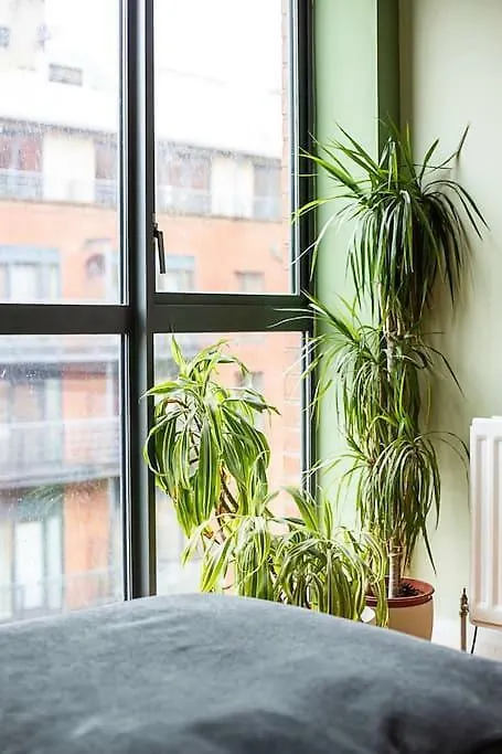 Spacious Belfast City Centre Duplex Apartment
